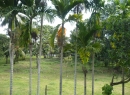 Battaramulla Residential land for sale/rent